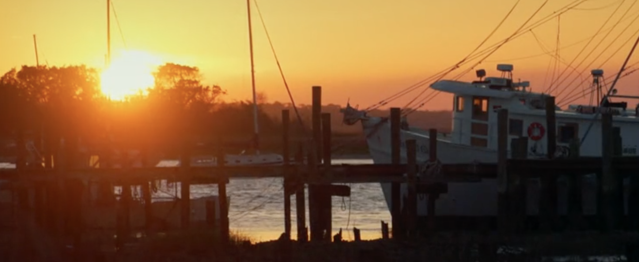 ameliaisland.com